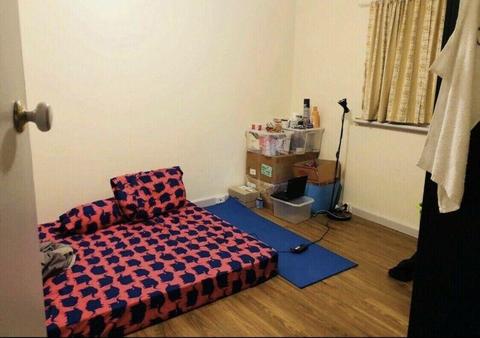 Sharing room - pertfect condition $100