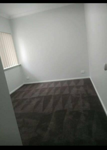 Room for Rent in Hamilton Hill