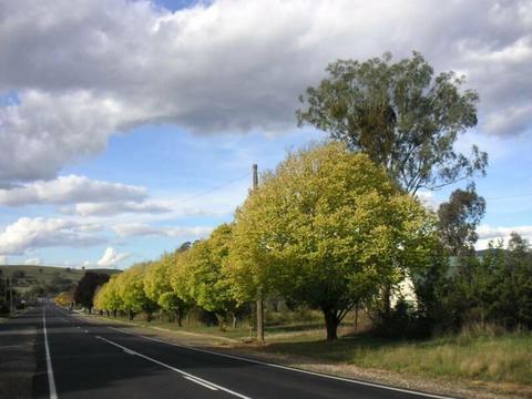 LAND FOR SALE IN WOODSTOCK NSW