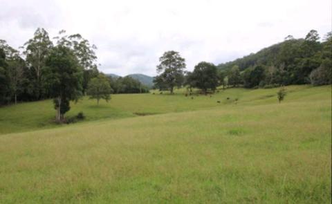 Acreage wanted within 45mins of Port Macquarie