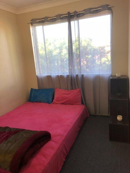 Room for rent in Greenslopes