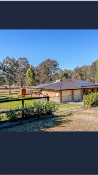 Horse property to rent