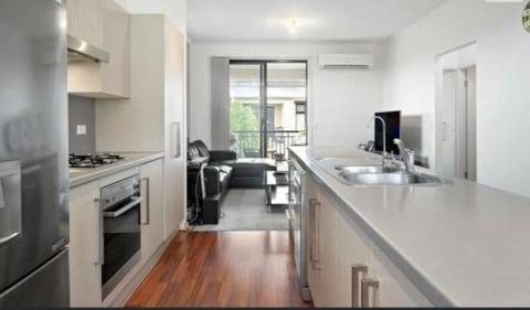 Beautiful fully furnished 2 BR Apartment