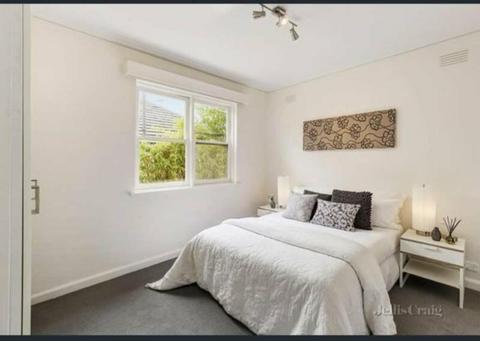 1 BR Apartment Lease Transfer in Malvern East