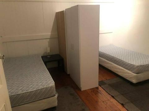 LARGE Ultimo Twin/Double Room to share with guy from Vietnam