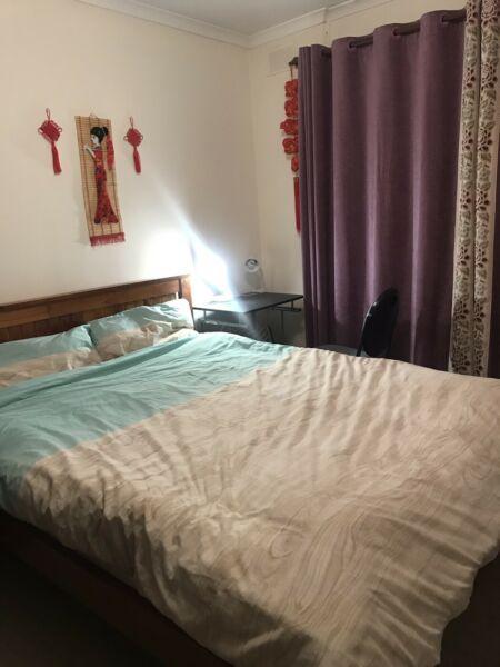Nice room with big bed near Adelaide city for rent