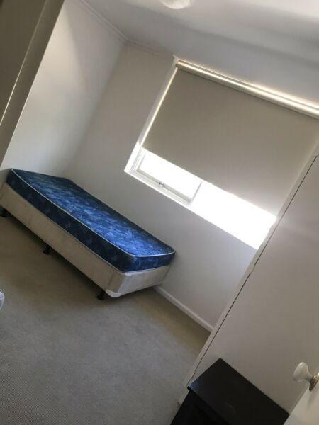 share room in hawthorn