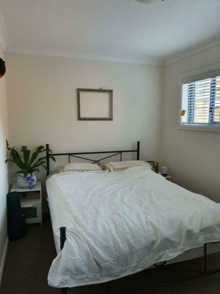 room to rent for 3 weeks during VIVID 25/5-15/06