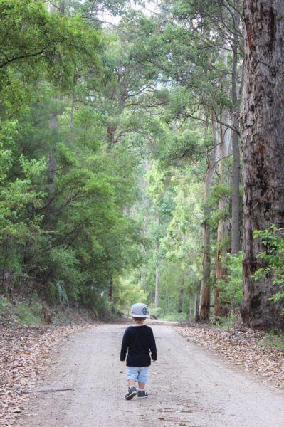 Pemberton Southern Forests Holiday House Warren River