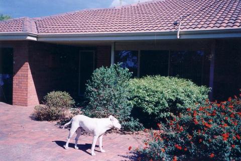 BUSSELTON BEACHFRONT home