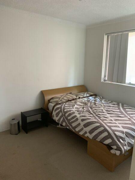 Room for rent in manly beach front!!!
