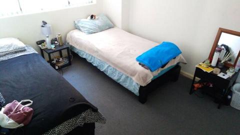 Private room - Double bed or 2 single beds - Haymarket