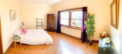 Very Large Room for In Balgowlah. (Close to Manly)