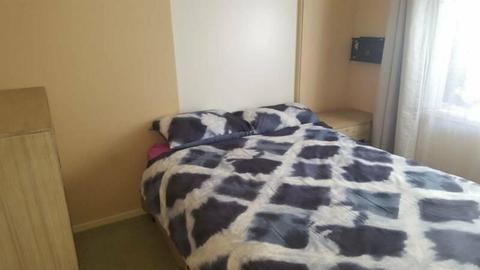 Room for Rent $170