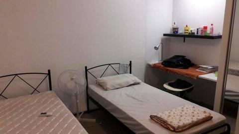 shared accommodation available at wolloongabba for $123 p/w