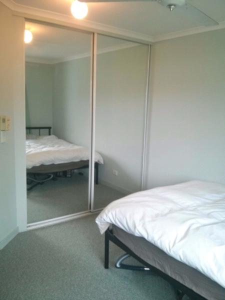 Room with ensuite for rent in Herston