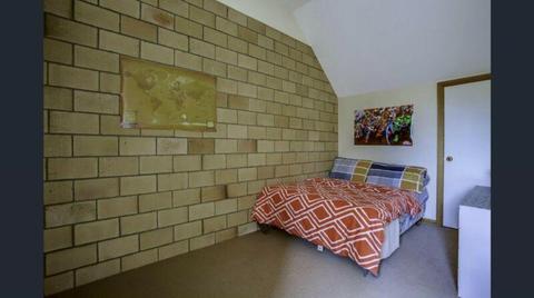 Launceston Spacious room for rent