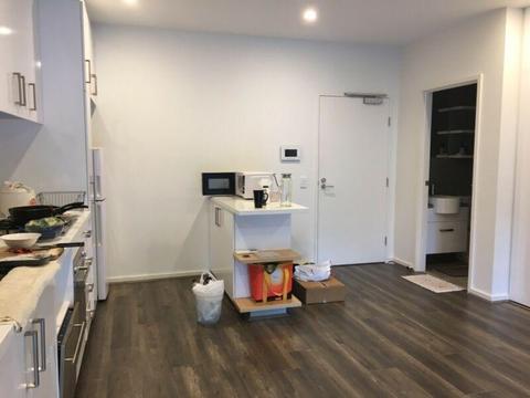 Single room for rent in apartment Box Hill