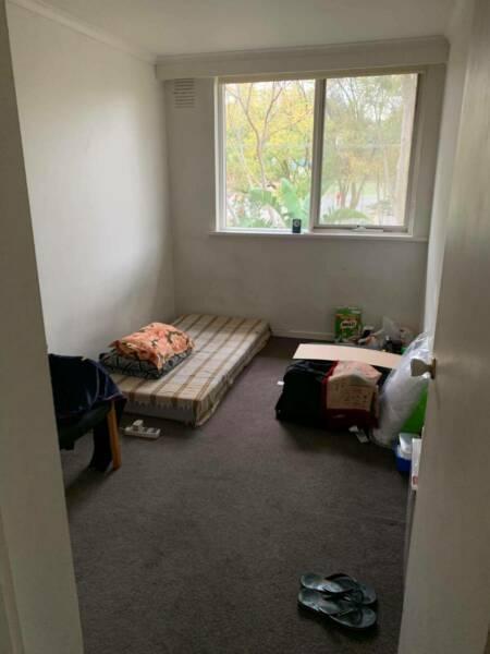 Single Room Available near Swinburne
