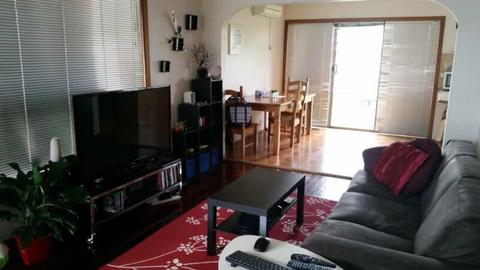 Room in ideal location in clean and friendly house