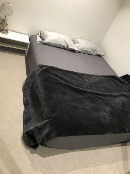Room in Melbourne City for Rent