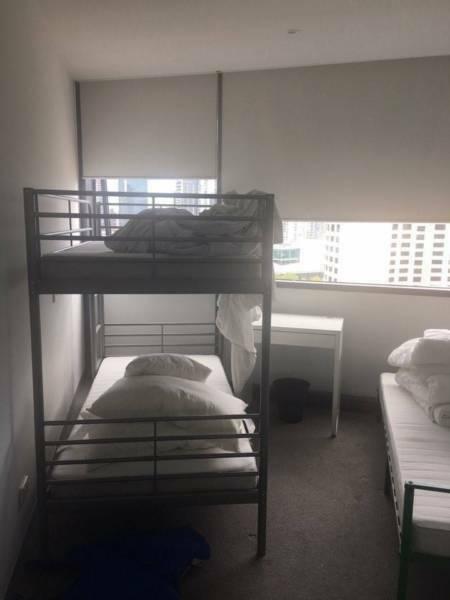 looking for the flat mate (Male) / 1 male in MEL CBD