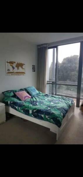 Room in Southbank from 16/6 to 14/7 only