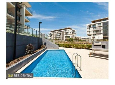 Room for rent North Coogee