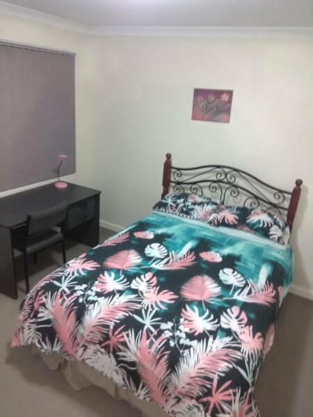 Room for Rent in a House Share