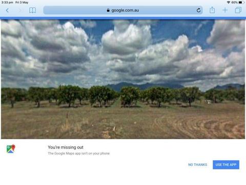 Mango farm 5 acres 50klms south of townsville