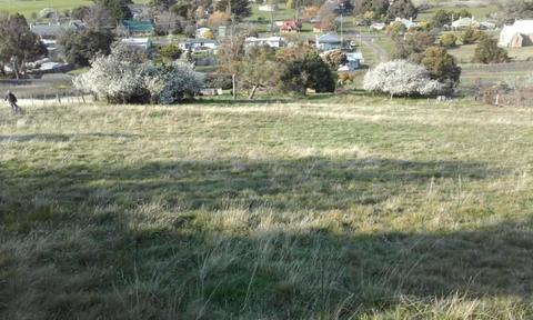 Land for sale 18 arthur street colebrook 97 by 46metres