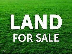 Wanted: Titled Land 613m2 (19.15 front x 32 length): in Westbrook Estate