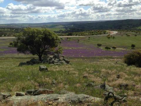Land for Sale in Toodyay