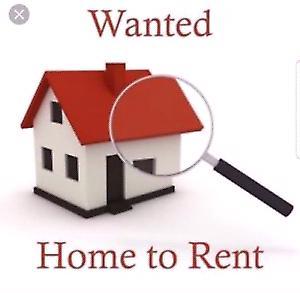 Wanted: Wanted house to rent