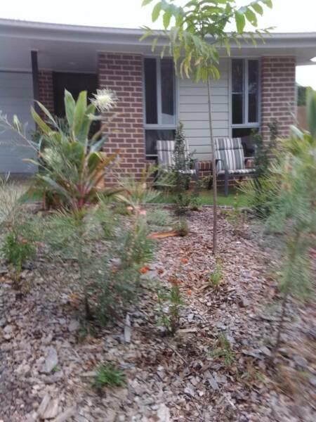 House share, Palmwoods $200. Bedroom plus study and own bathroom
