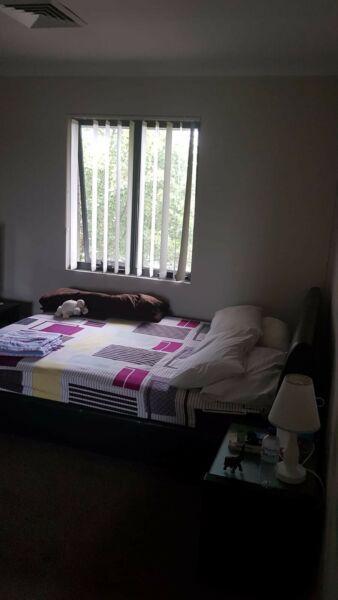 single room available in North Strathfield