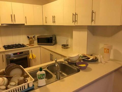 Split Level unit - privacy heaven - shared rooms at Strathfield