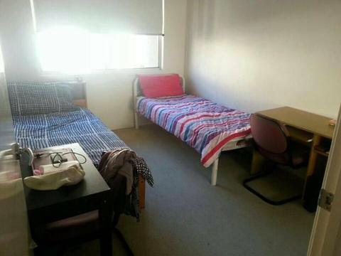 AFFORDABLE SHARE ROOM