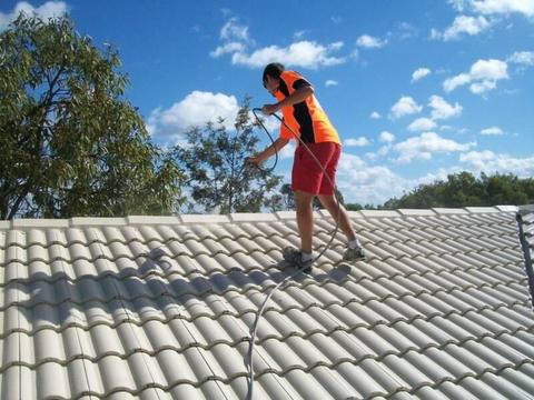 Roof Cleaning and Painting Business For Sale