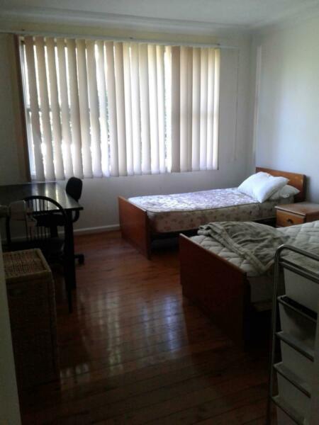 1 large room available at CHATSWOOD