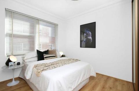 Large single room for rent in Ashfield female only