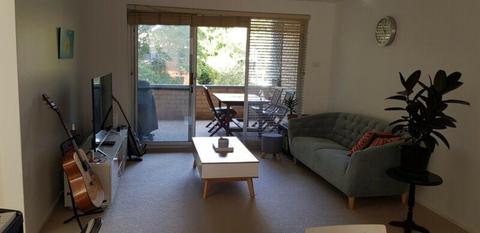 Room Available in Dee Why