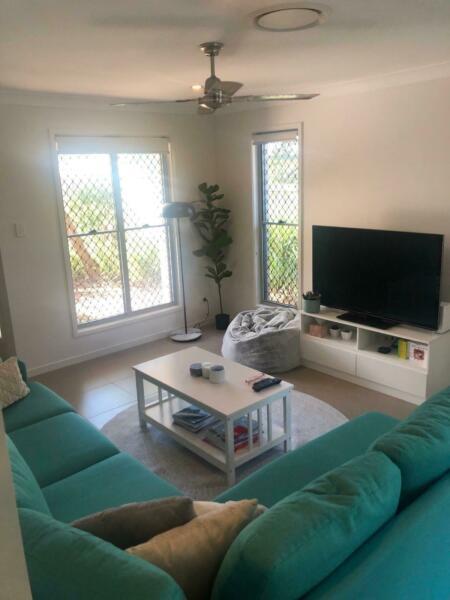 Room for rent in Manly West with private bathroom