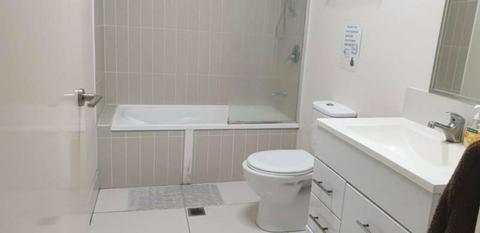 A Single room aviliable in Annerley