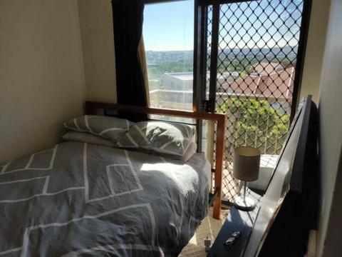 Room available in Kelvin Grove apartment