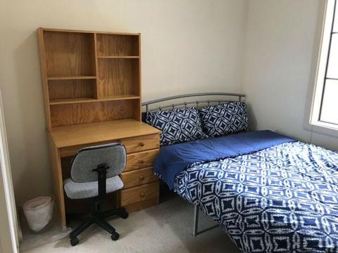 Mawson Lakes Unisa double bedroom available