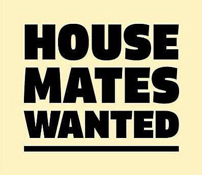 Looking for a housemate