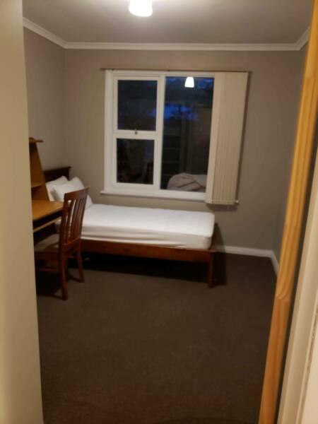 Room for Rent (short term welcome)