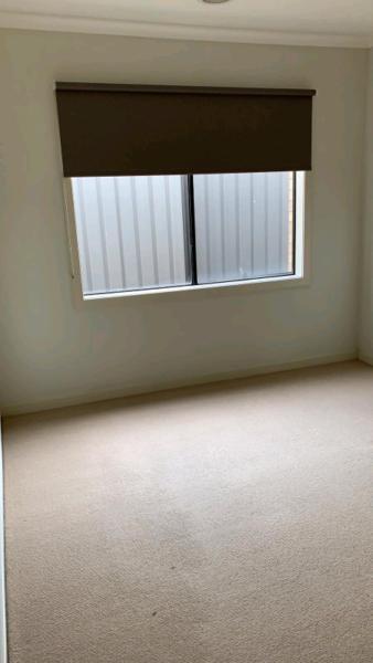 large room for rent