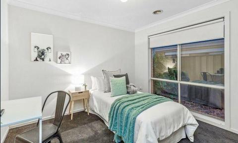 Clean, tidy and spacious room in Point cook near public transport